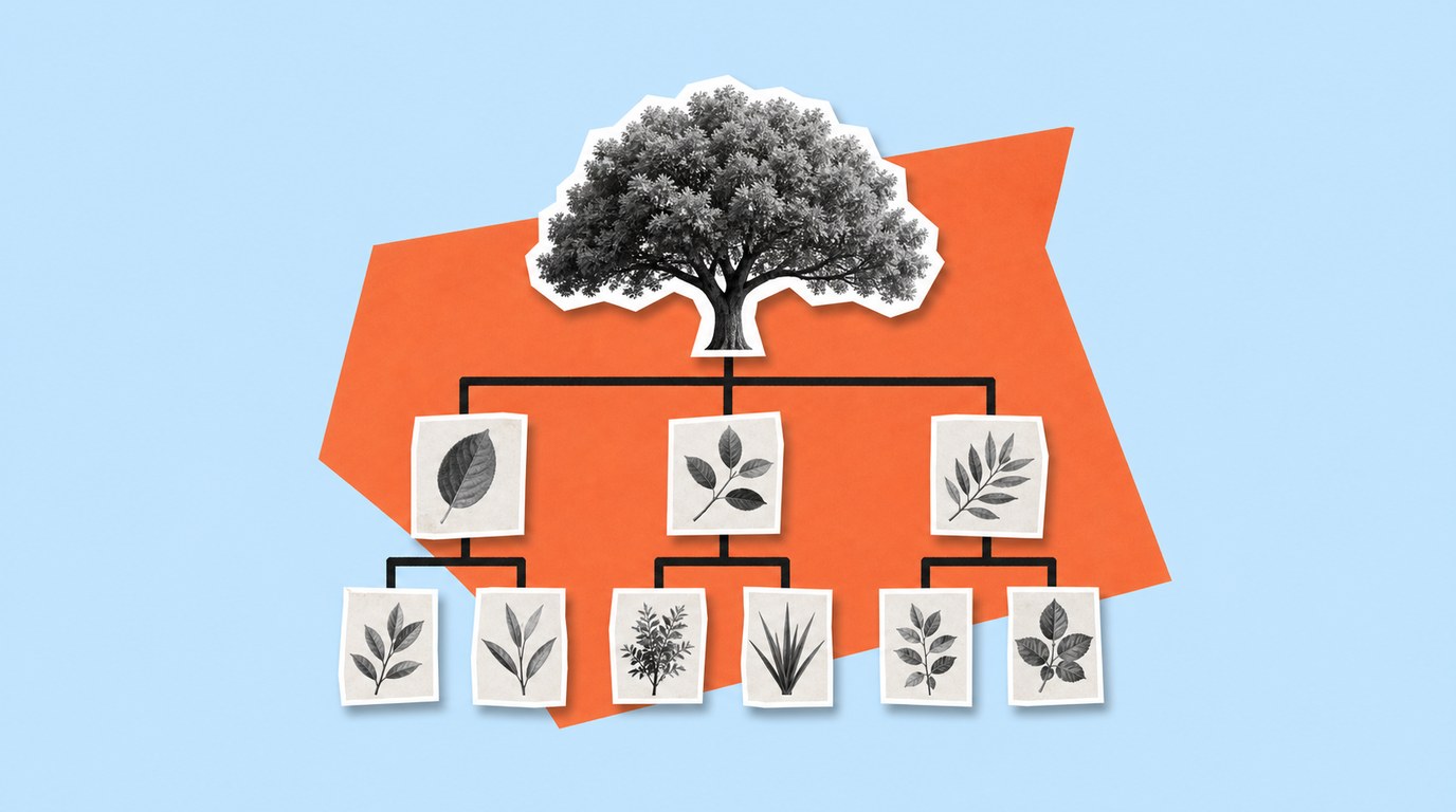 Comment construire l&rsquo;arborescence de son site Web ?