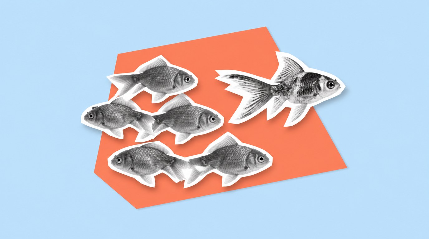 Webmarketing, comment se démarquer de la conccurence ?